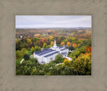 Load image into Gallery viewer, Palmyra and Sacred Grove Aerial

