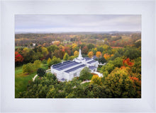 Load image into Gallery viewer, Palmyra and Sacred Grove Aerial

