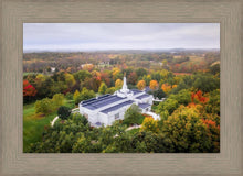 Load image into Gallery viewer, Palmyra and Sacred Grove Aerial
