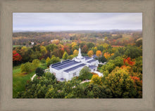 Load image into Gallery viewer, Palmyra and Sacred Grove Aerial
