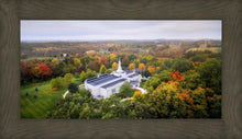 Load image into Gallery viewer, Palmyra and Sacred Grove Aerial
