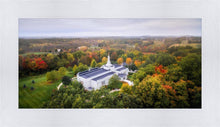 Load image into Gallery viewer, Palmyra and Sacred Grove Aerial
