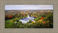 Load image into Gallery viewer, Palmyra and Sacred Grove Aerial
