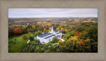 Load image into Gallery viewer, Palmyra and Sacred Grove Aerial
