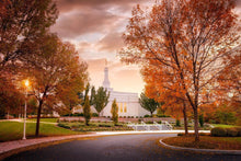Load image into Gallery viewer, Palmyra Autumn
