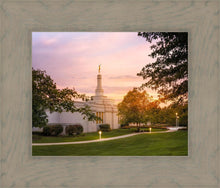 Load image into Gallery viewer, Palmyra Oh How Lovely was the Morning
