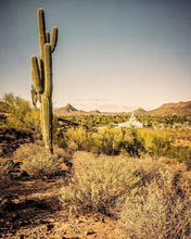 Load image into Gallery viewer, Phoenix Cactus Hill
