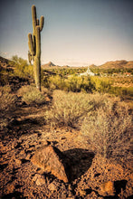 Load image into Gallery viewer, Phoenix Cactus Hill
