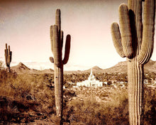 Load image into Gallery viewer, Phoenix Saguaro Cactus
