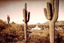 Load image into Gallery viewer, Phoenix Saguaro Cactus
