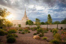 Load image into Gallery viewer, Phoenix Sun
