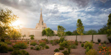 Load image into Gallery viewer, Phoenix Sun
