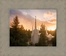 Load image into Gallery viewer, Portland High Glow
