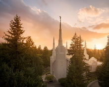 Load image into Gallery viewer, Portland High Glow
