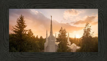Load image into Gallery viewer, Portland High Glow
