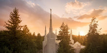 Load image into Gallery viewer, Portland High Glow
