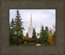 Load image into Gallery viewer, Portland Temple Forest Through The Trees
