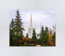Load image into Gallery viewer, Portland Temple Forest Through The Trees
