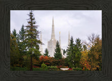 Load image into Gallery viewer, Portland Temple Forest Through The Trees
