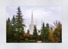 Load image into Gallery viewer, Portland Temple Forest Through The Trees

