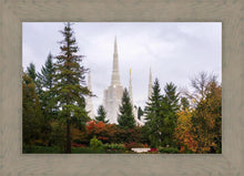 Load image into Gallery viewer, Portland Temple Forest Through The Trees
