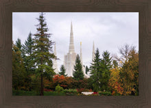 Load image into Gallery viewer, Portland Temple Forest Through The Trees
