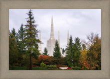 Load image into Gallery viewer, Portland Temple Forest Through The Trees
