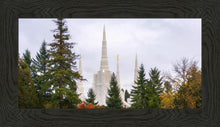 Load image into Gallery viewer, Portland Temple Forest Through The Trees
