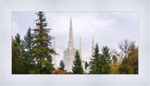Load image into Gallery viewer, Portland Temple Forest Through The Trees
