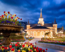 Load image into Gallery viewer, Provo City Center - April Showers Bring May Flowers
