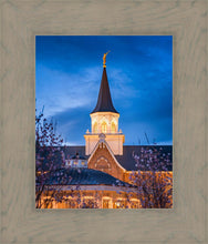 Load image into Gallery viewer, Provo City Center Blue and Gold
