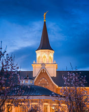 Load image into Gallery viewer, Provo City Center Blue and Gold

