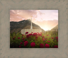 Load image into Gallery viewer, Provo Second Coming
