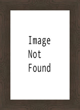 Load image into Gallery viewer, Renewed Mesa Arizona
