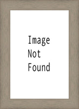 Load image into Gallery viewer, Renewed Mesa Arizona
