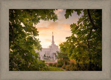 Load image into Gallery viewer, Reno Gardens
