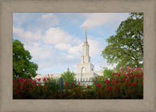 Load image into Gallery viewer, Sacramento Flowers
