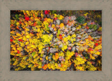 Load image into Gallery viewer, Sacred Grove Autumn From Heaven
