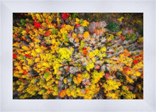 Load image into Gallery viewer, Sacred Grove Autumn From Heaven
