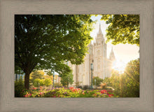 Load image into Gallery viewer, Salt Lake - The Lord is My Light
