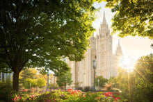 Load image into Gallery viewer, Salt Lake - The Lord is My Light
