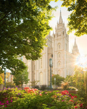 Load image into Gallery viewer, Salt Lake - The Lord is My Light (Vertical)
