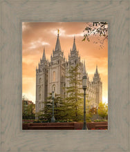 Load image into Gallery viewer, Salt Lake - The Promise
