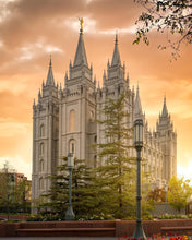 Load image into Gallery viewer, Salt Lake - The Promise
