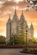 Load image into Gallery viewer, Salt Lake - The Promise
