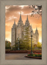 Load image into Gallery viewer, Salt Lake - The Promise

