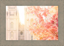 Load image into Gallery viewer, Salt Lake Blossom Glow
