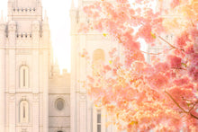 Load image into Gallery viewer, Salt Lake Blossom Glow
