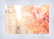 Load image into Gallery viewer, Salt Lake Blossom Glow
