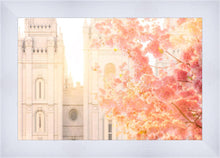 Load image into Gallery viewer, Salt Lake Blossom Glow
